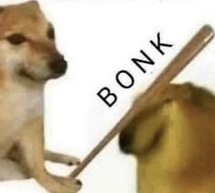 Bonk Language